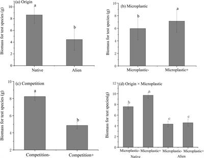 Effect of microplastics on the allelopathic effects of native and invasive plants on co-occurring invaders